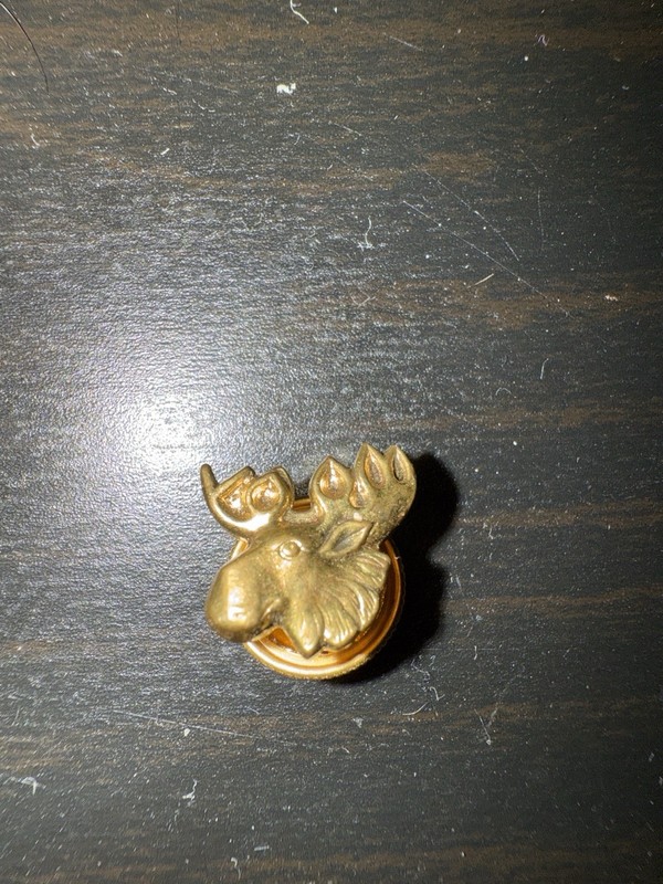 Vintage 1970s Brass Moose Head Screw Back Lapel Pin Lodge Fraternal Style