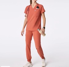 Figs plus size scrub set spiced cider Catarina top L Zamora jogger L/P