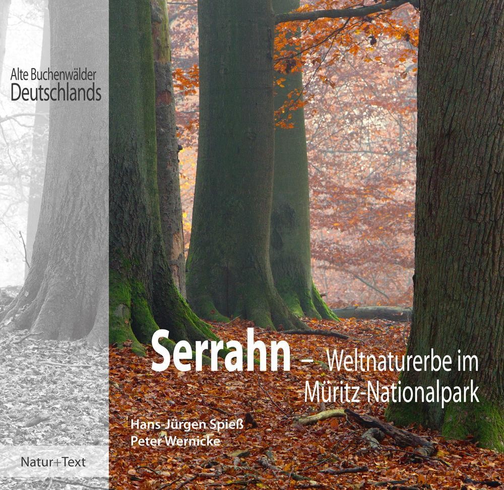 Serrahn Peter Wernicke