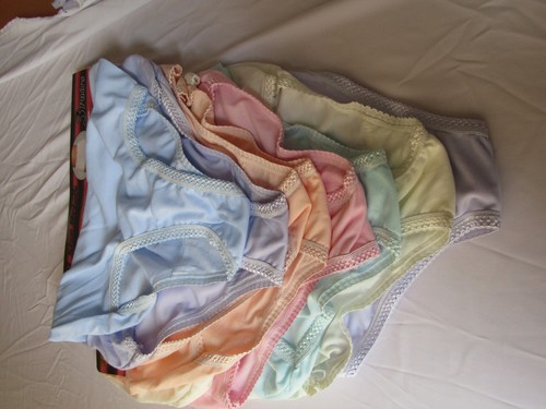3x Full Briefs Knickers Panties Embroidery Pastels 10 12 14 16 18 20 22 24 D12 - 第 29/32 張圖片