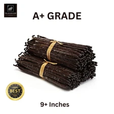 10 Premium Grade A+ 100% Organic Ceylon Bourbon Gourmet Vanilla Beans 9+ Inches