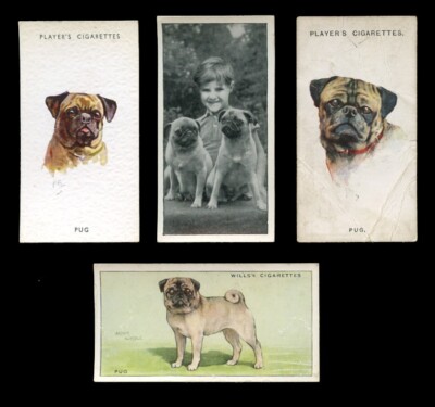 MOPS CARLIN MOPS HUND HUND VINTAGE ZIGARETTENKARTEN - X 4 alle original