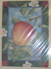 McIntosh Apple By Paul Brent