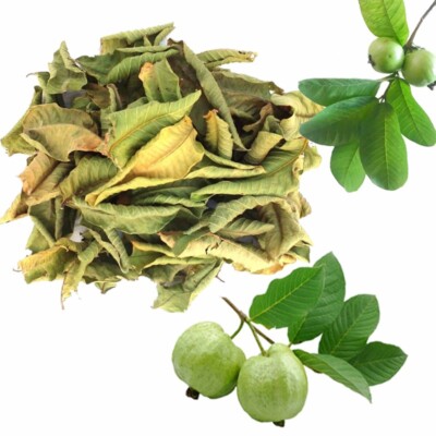 ORGANIC 100% DRIED GUAVA LEAVES Hojas De Guayaba herbal tea and skin care  50+