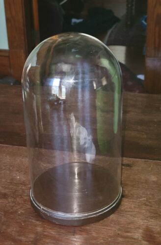 9" Glass Display Bell Jar/ Dome Cloche with Wood Base - Imagen 1 de 7