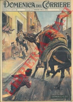 MOLINO W. - A Gravedona un uomo a dorso di un mulo ha un attacco di peritonite.