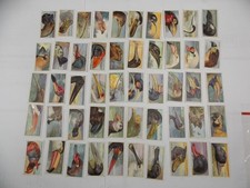 Players Cigarette Cards Curious Beaks 1929 Complete Set 50