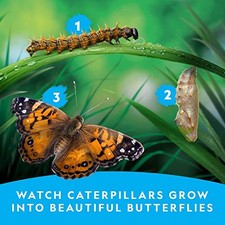BUTTERFLY HABITAT KIT WITH VOUCHER TO REDEEM 5 CATERPILLARS S H NOT INCLUDED ,