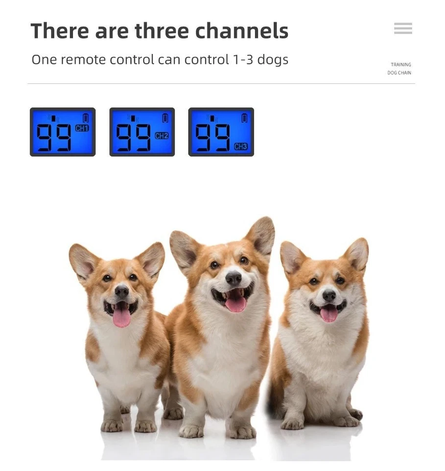 Collar de adiestramiento eléctrico para perro, mando impermeable, recargable - Imagen 2 de 4