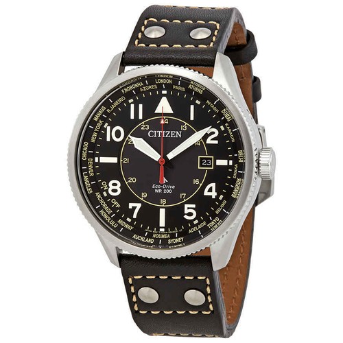 Citizen Promaster Nighthawk Perpetual 