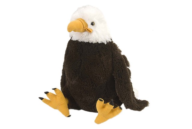 wild republic bald eagle