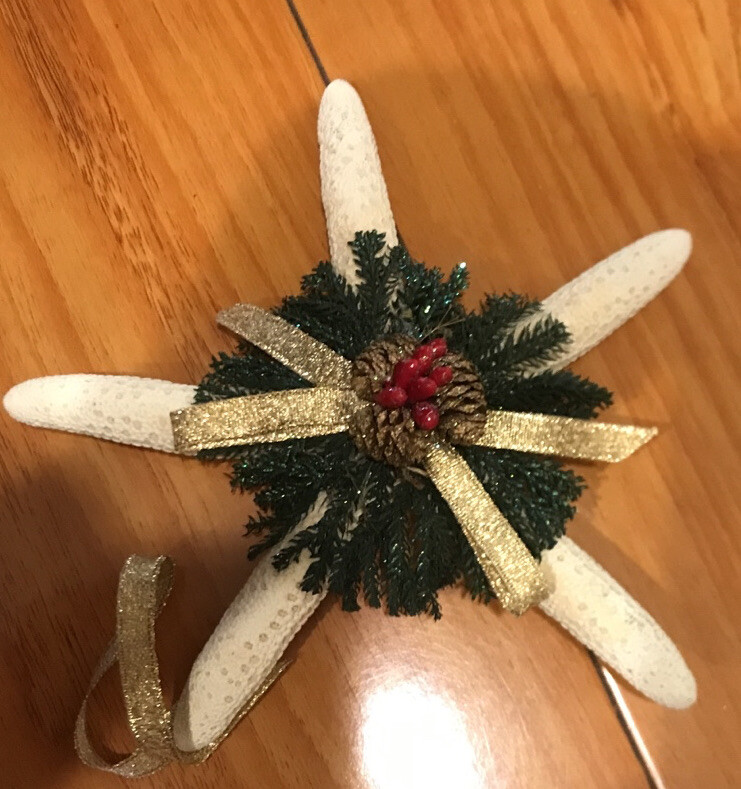 Tropical Sea Star Starfish Ocean animal Christmas Ornament 6” Large