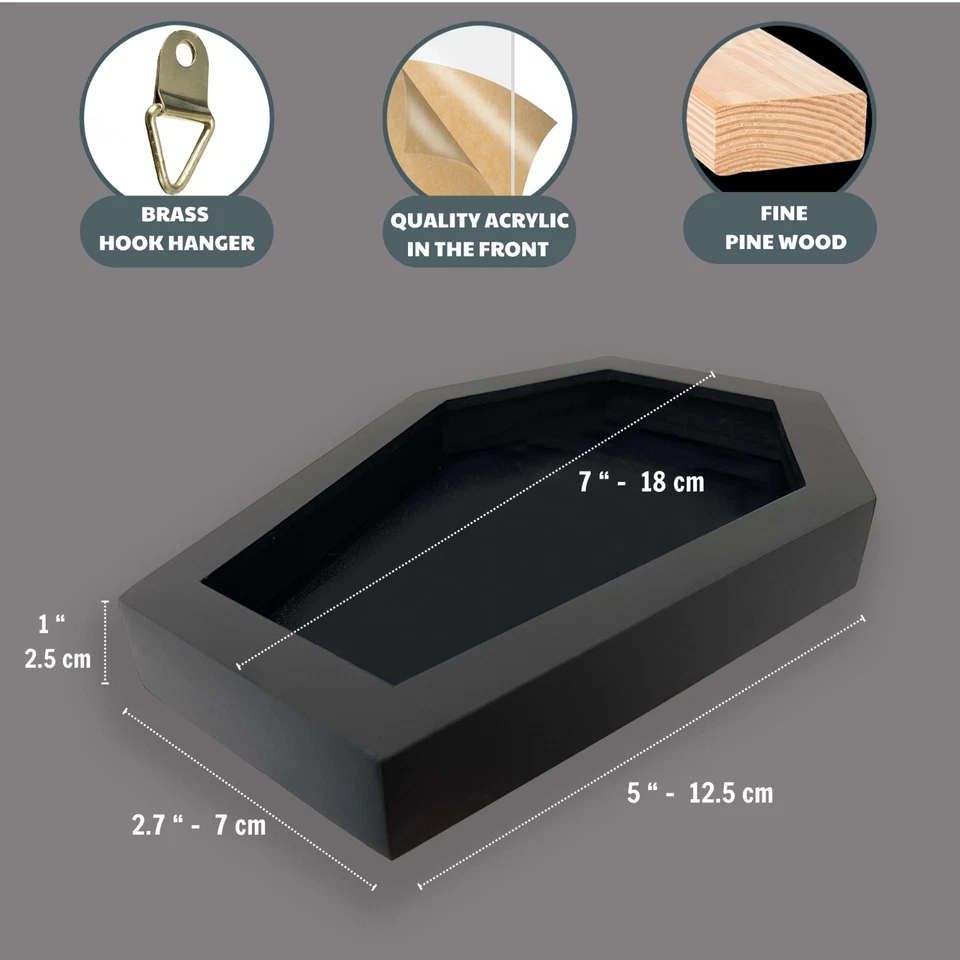 Real Death Head Moth Coffin Frame Taxidermy Insect Spooky Gothic Decor for Home - Image 2 of 3