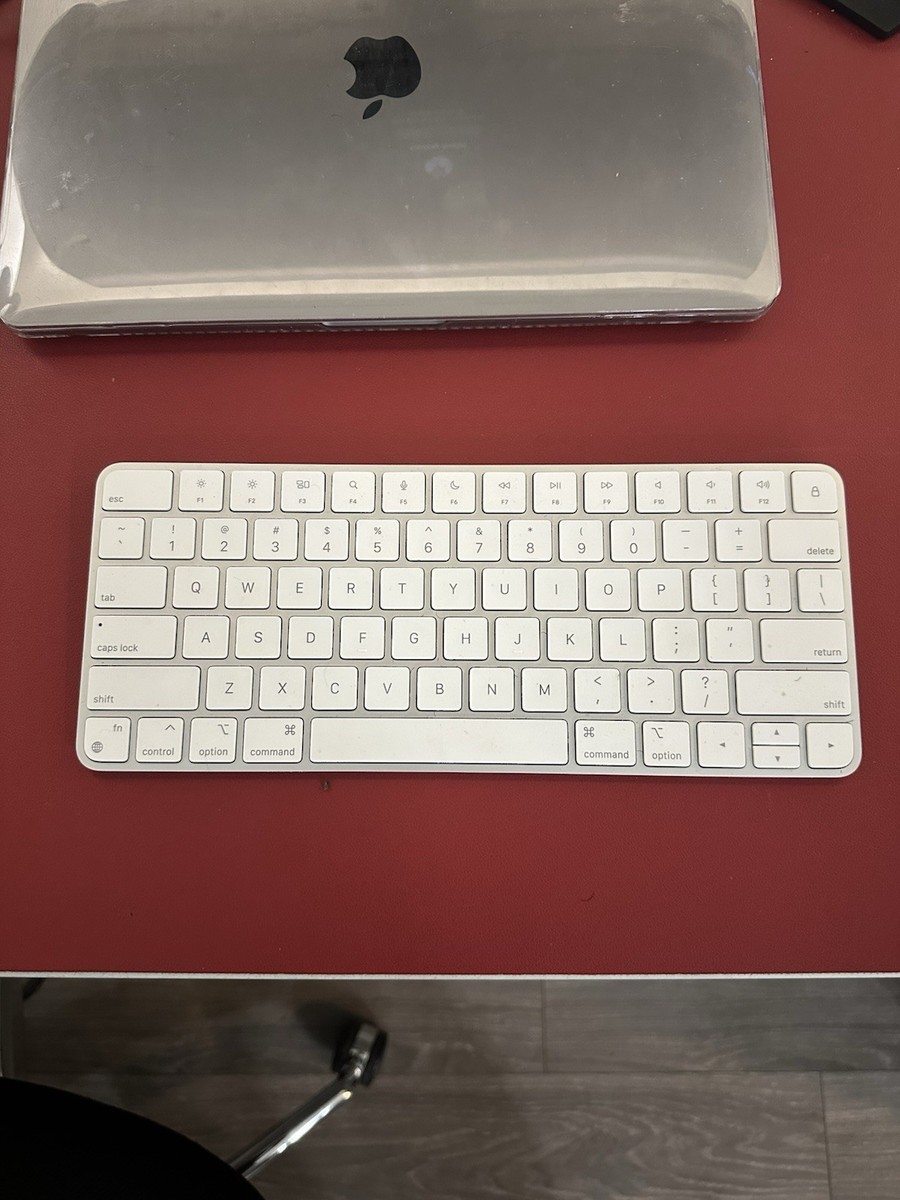 Apple Magic Keyboard (lighting port) - white and silver | eBay