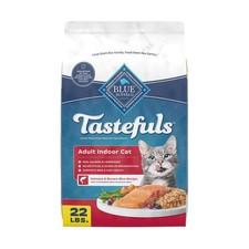 Salmon Indoor Dry Cat Food for Adults, 22 lb - Healthy Delicious Nutrition
