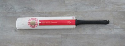 Vintage grau Nicolls Powerspot Standard David Gower Cricketschläger Junior Hengstfohlen?