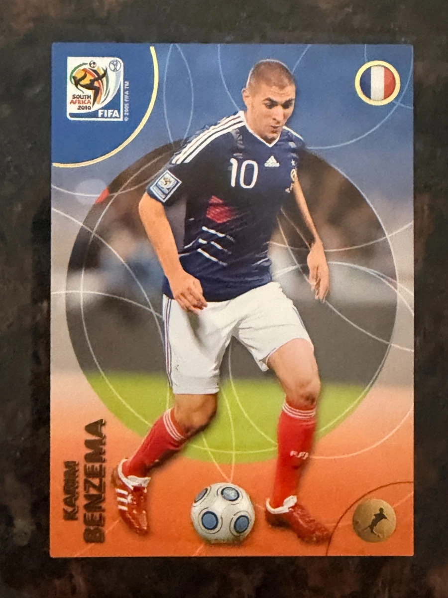 Panini FIFA World Cup Soccer 2010 Season Sports Trading Cards