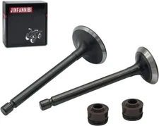 Cylinder Head Intake Exhaust Valve for Yamaha TTR125L TTR125E TTR125LE 2000-2018