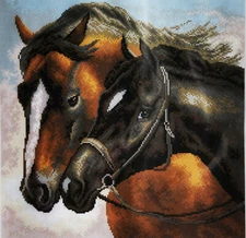 Cross stitch painted AIDA canvas tapestry PA0976 Horses 16"x16" 
