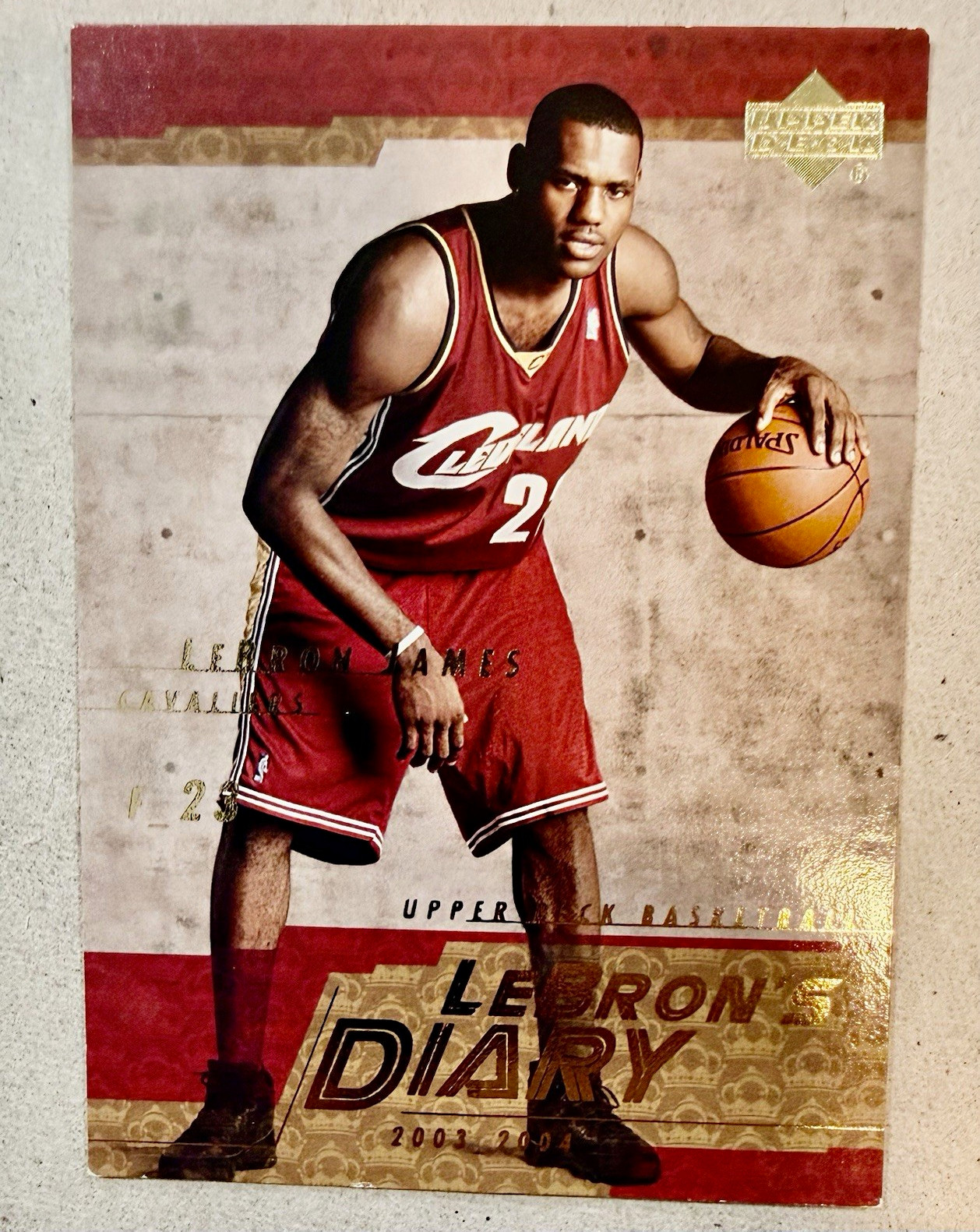 Upper Deck 2003-04 LeBron James LeBron's Diary Insert RC #LJ13 Cavaliers