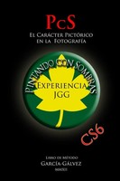 Pintando Con Sombras El CaráCter PictóRico En La FotografíA Juan GarcíA-GáLvez