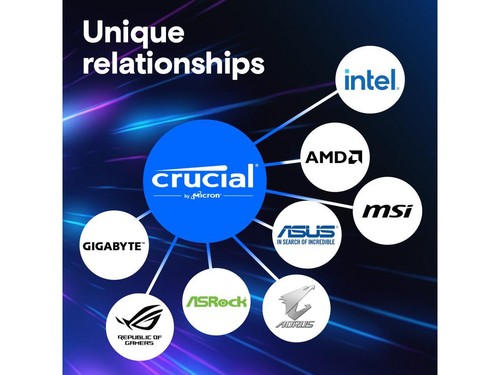 Crucial Pro 48GB (2 x 24GB) DDR5 5600 (PC5 44800) XMP 3.0 & AMD EXPO Ready - Picture 4 of 5