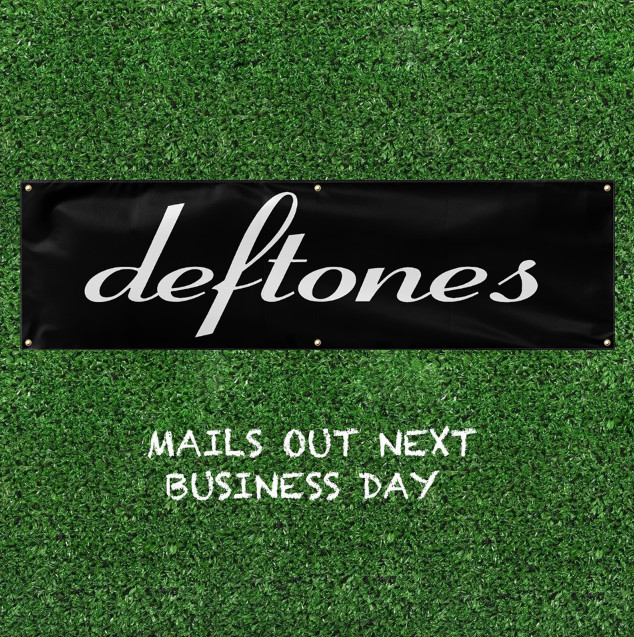 Banner Flag 24X81 Inches