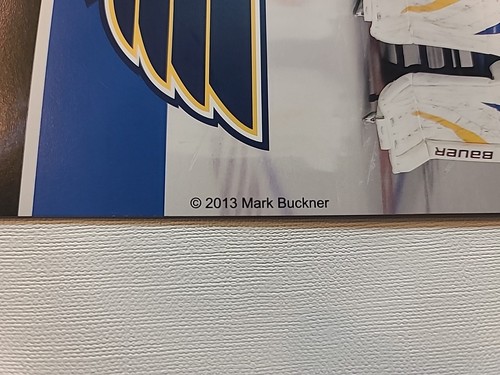 St. Louis Blues Hockey NHL 2012-2013 Vintage Team Poster 18" x 24" - Picture 19 of 24