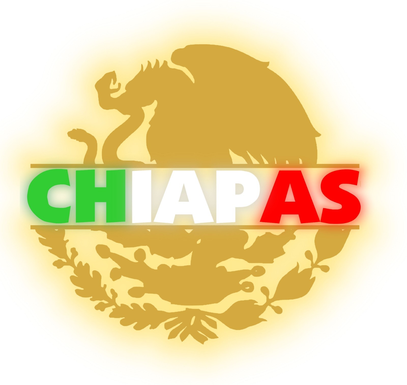 Imagen 2 de 3