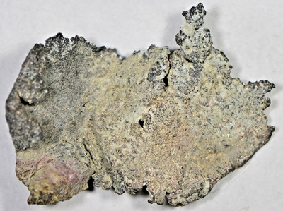 1 g NATIVE SILVER LEAF ! 1.5 X 1  X .5cm THICK, COBALT, ONTARIO, CANADA #S9