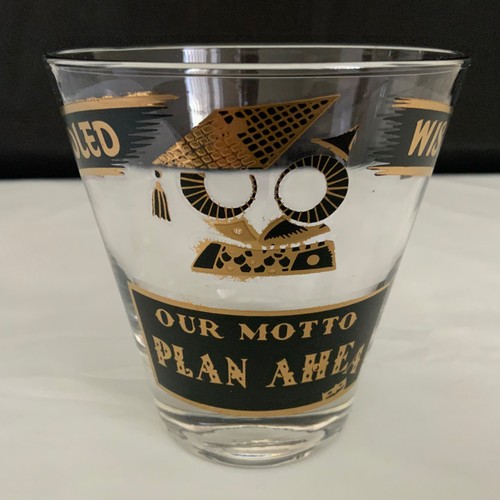 Georges Briard Muddled Wisdom Plan Ahead 12 Oz Cocktail Glass Tumbler