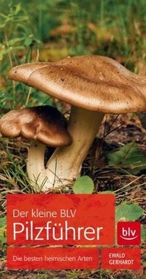 Der kleine BLV Pilzführer von Gerhardt, Ewald | Buch | Zustand sehr gut