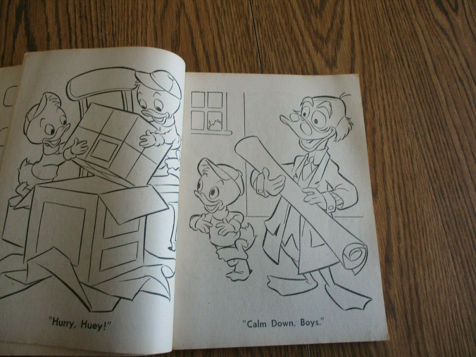 Picture 5 of 12