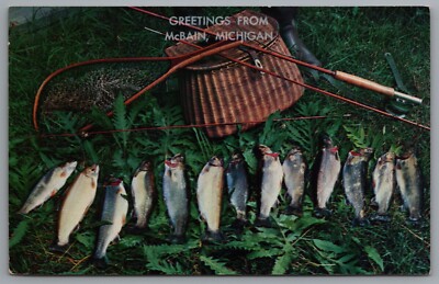 Greetings from McBain Michigan Trout Catch Fly Fishing c1968 Posted Marion MI