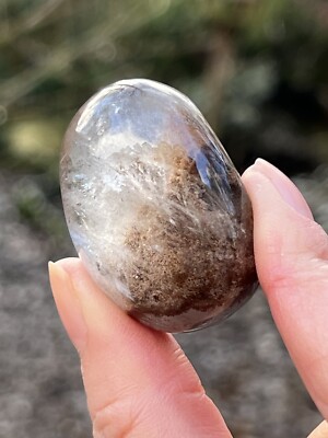 Große Lodolith Quarz Linse Brazilian Pebble AAA+ : Wachstum 40g 48