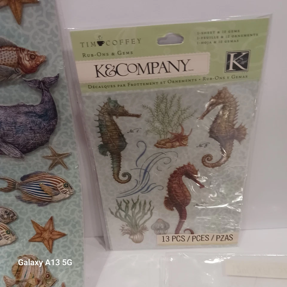 K&Company Tim Coffey Conchas de Viaje Grandes Adherencias Pegatina Dimensional Playa NUEVO Foto 3 de 4