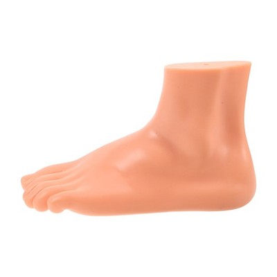 Foot Muscle Model for Anatomy Learning: Classroom Foot Teaching Tool with Veins