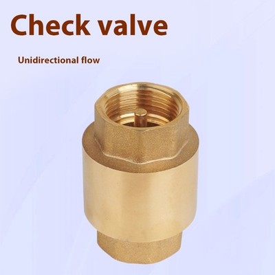 Spring Assisted Brass Check Valves Internal Thread 4 Inch High Pressure Rating