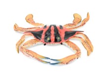 Speckled Swimming Crab Realistic Toy Figure Model Educational Gift 9" CH361BB137