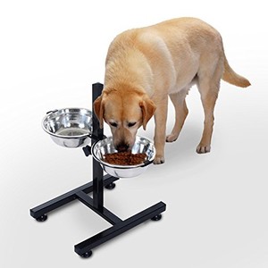 upright dog feeder