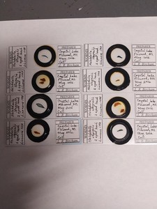 vintage prepared microscope slides