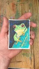 ACEO Original Art Frog tree frog on leaf  by Jill/ Tulip and Topaz — photo 3