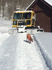 1984 Bombardier Snodozer SV-252 Snowcat - Reliable Groomer,   500 hours on engin