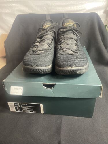 Nike Men's LeBron XVI 16 I'm King Black Metallic Gold Size 12