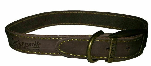 Standard Dog Collar Dog Collars