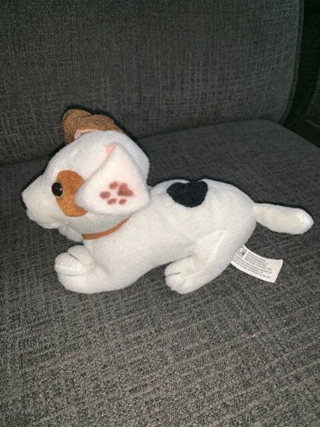 types of fish at petsmart