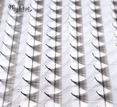 10D 12D 14D Promade Fans Mix Premade Fans Handmade Eyelash Extension Mega volume