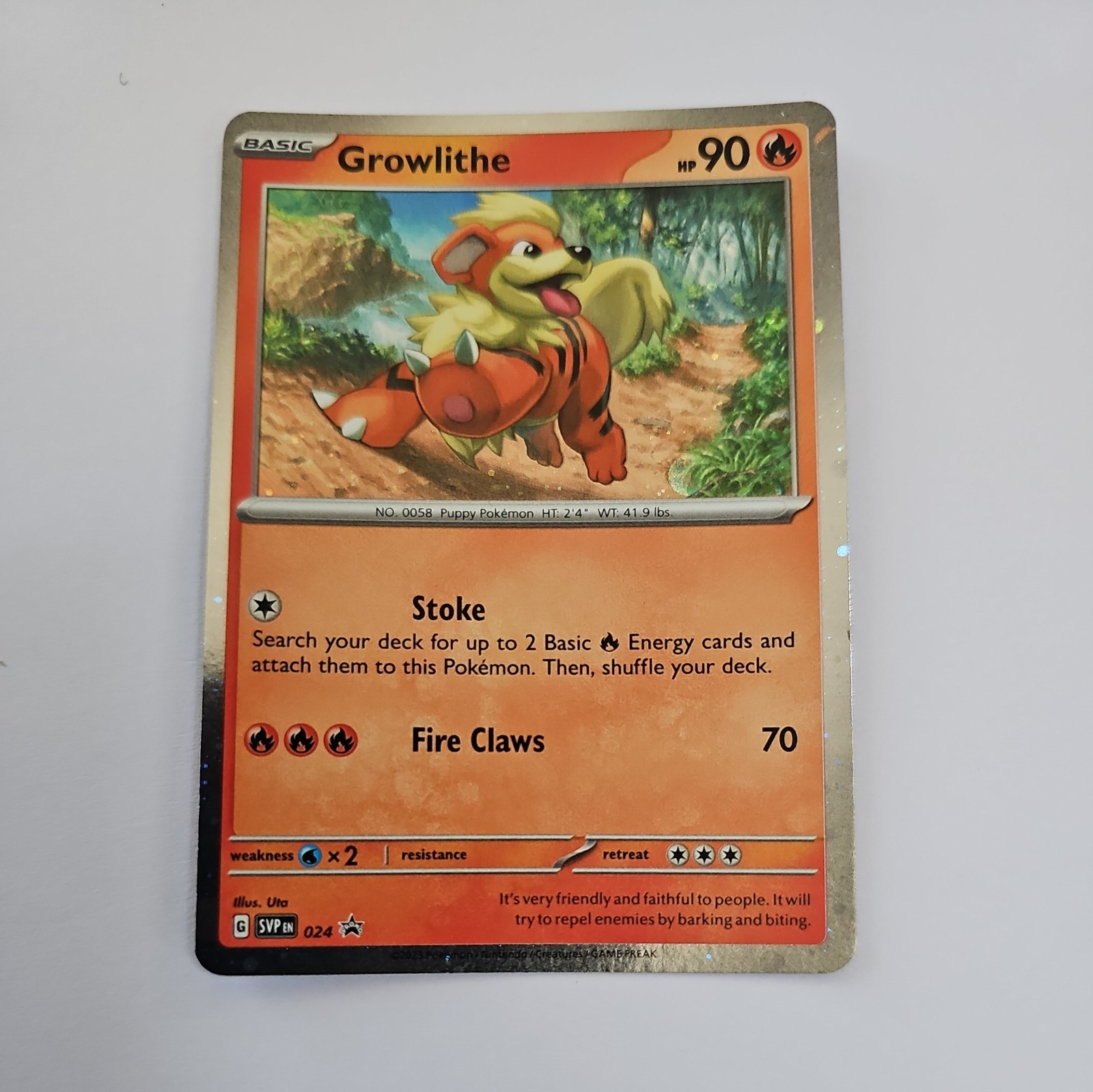 Growlithe SVP024, Black Star Promo, Pokemon, NM