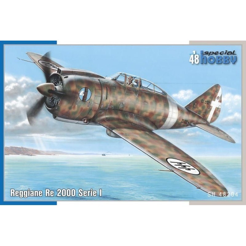 Maquette Reggiane Re 2000 I. Serie 1/48 avec lignes de structure en creux
