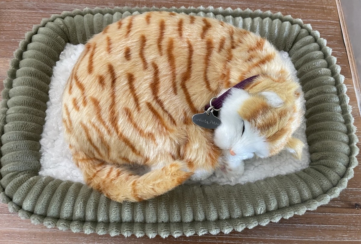 Perfect Petzzz Breathing KITTY CAT Sleeping 9